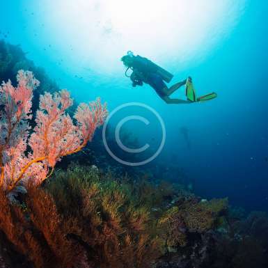 SSI Deep Diver Kursu