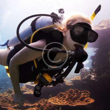 SSI Equipment Techniques Kursu