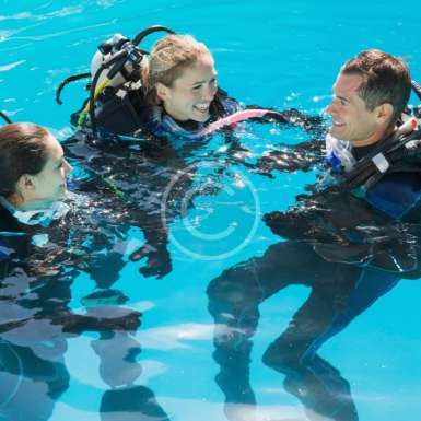 SSI React Right Kursu