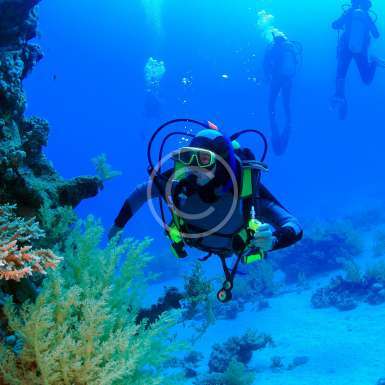 TSSF CMAS 3 Yıldız Dalıcı Kursu