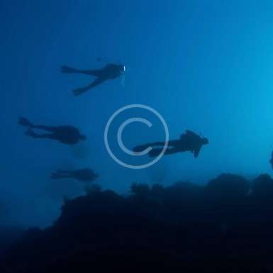 SSI Divemaster Kursu