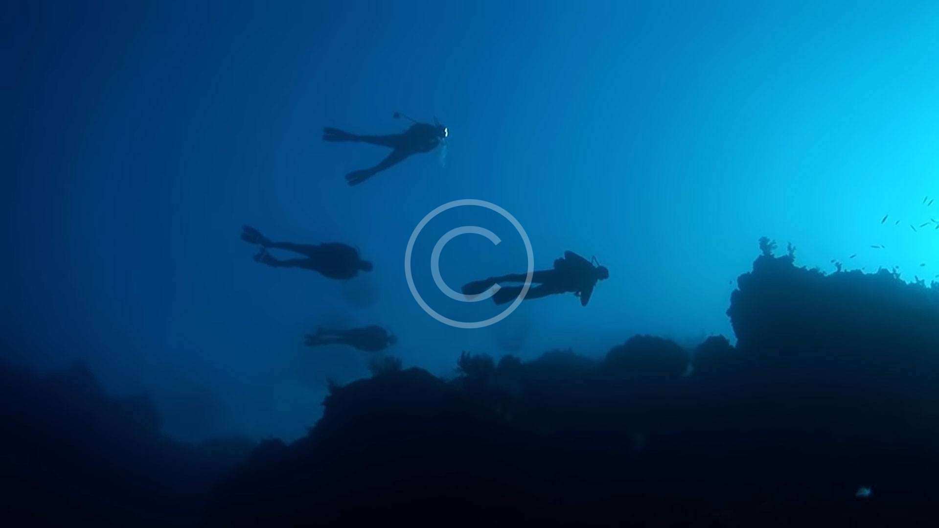 SSI Divemaster Kursu