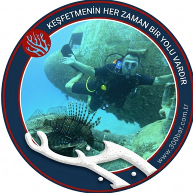 SSI Wreck Diving Dalış Kursu