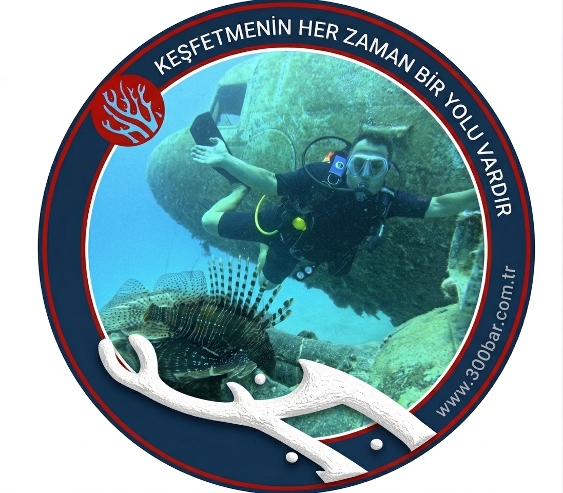 SSI Wreck Diving Dalış Kursu