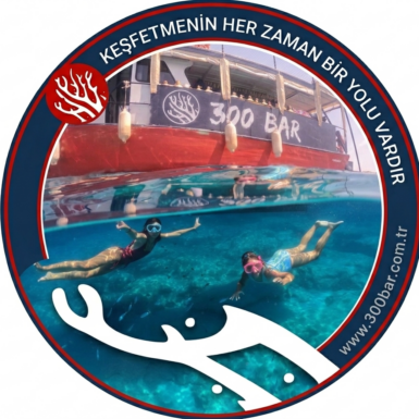 TSSF CMAS Genç Dalıcı Kursu